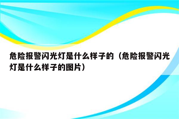 危险报警闪光灯是什么样子的(危险报警闪光灯是什么样子的图片)