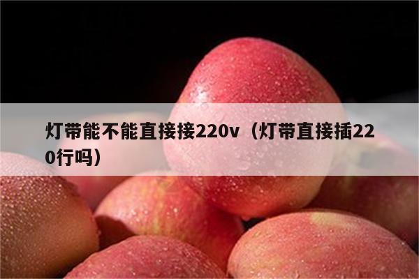 灯带能不能直接接220v(灯带直接插220行吗)