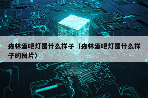 森林酒吧灯是什么样子(森林酒吧灯是什么样子的图片)