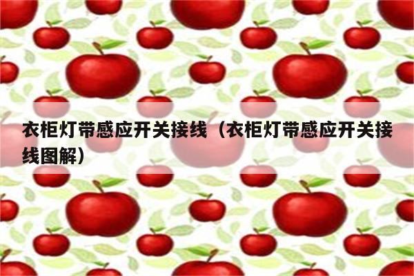 衣柜灯带感应开关接线(衣柜灯带感应开关接线图解)